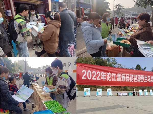 护翼冬候鸟活动照片 - 副本.jpg