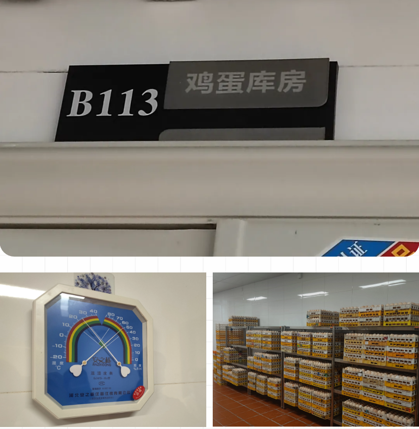 13.png