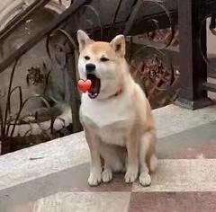 微信图片_20211129210425.jpg