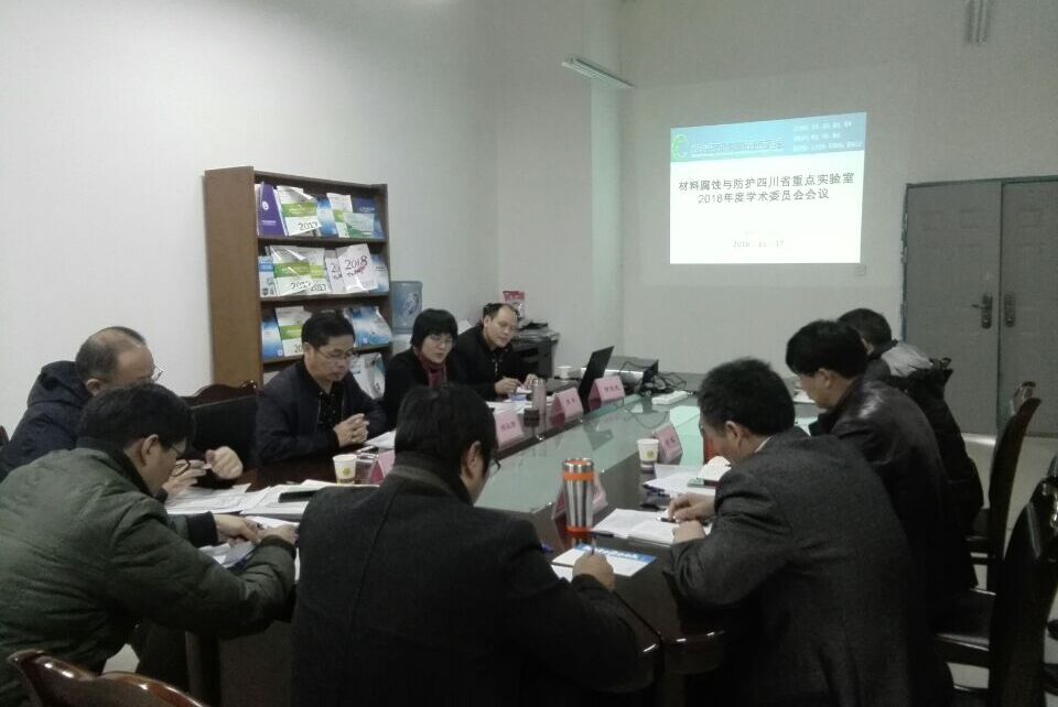 实验室学术委员会会议.jpg