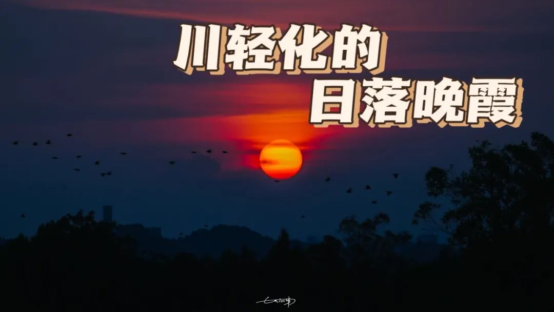 微信图片_20230601163011.jpg