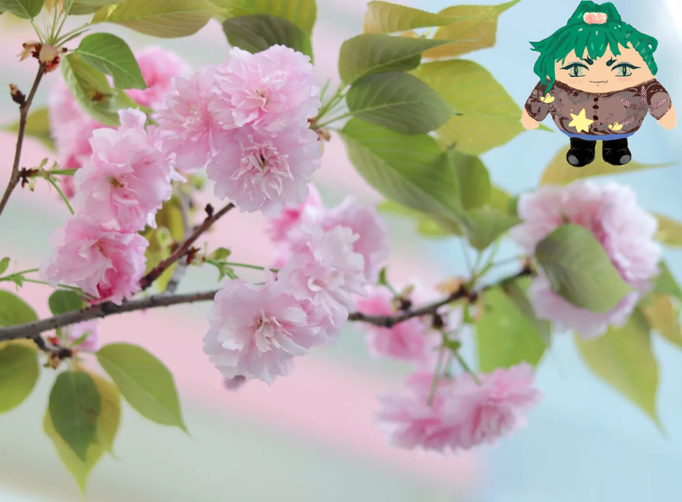 微信图片_20221228173038.png