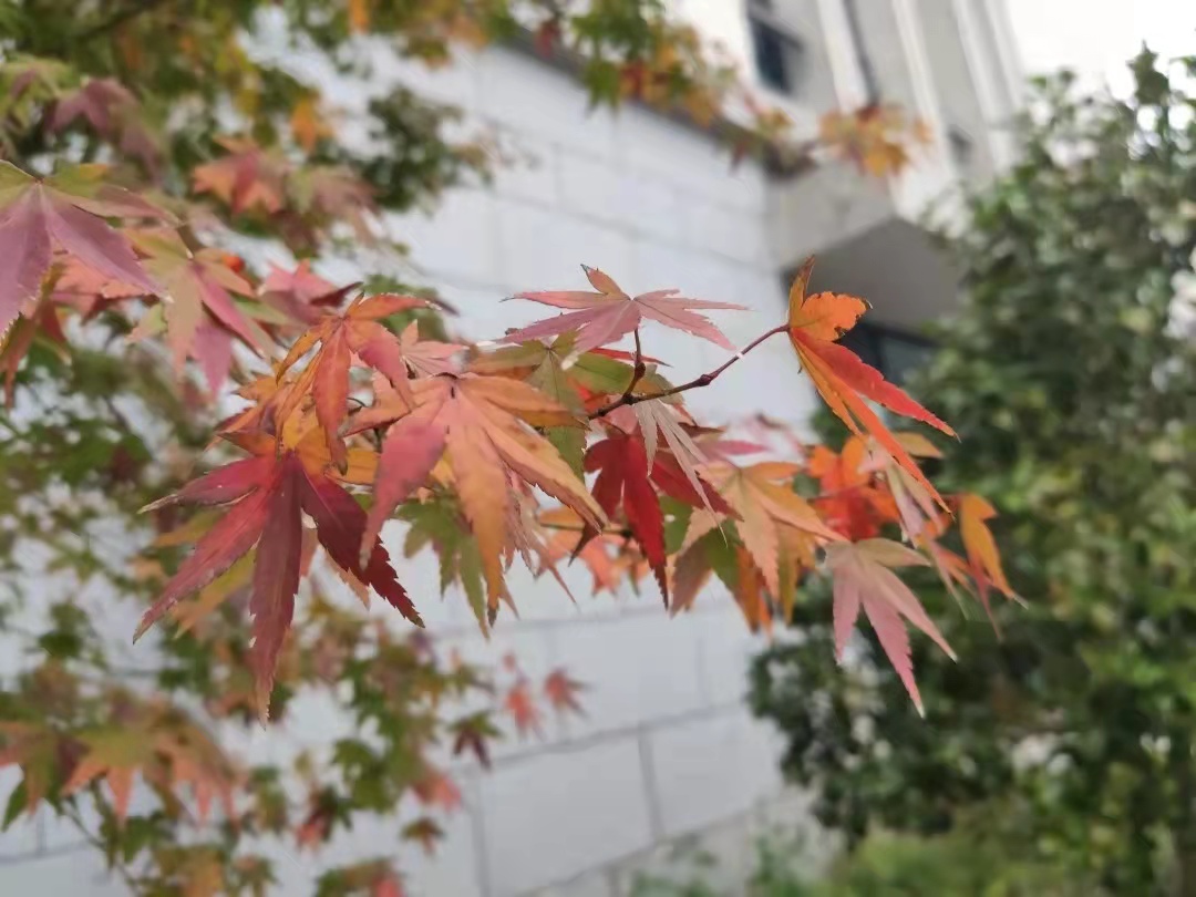 微信图片_20211129183143.jpg