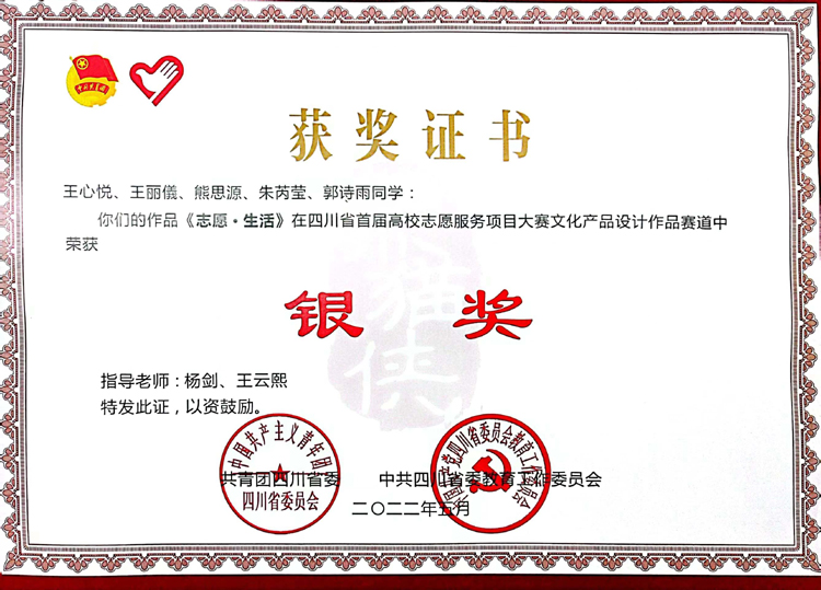 6四川省首届高校志愿服项目大赛银奖.jpg