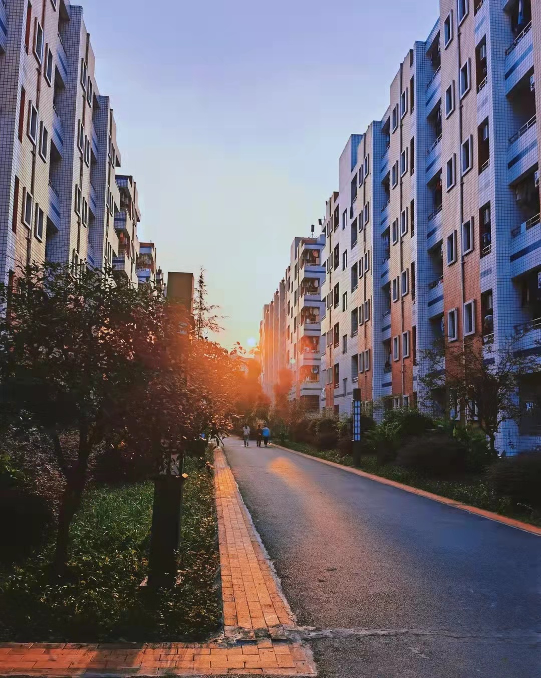 微信图片_20211113160723.jpg