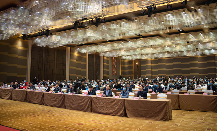 DSC02542.jpg DSC02542.jpg