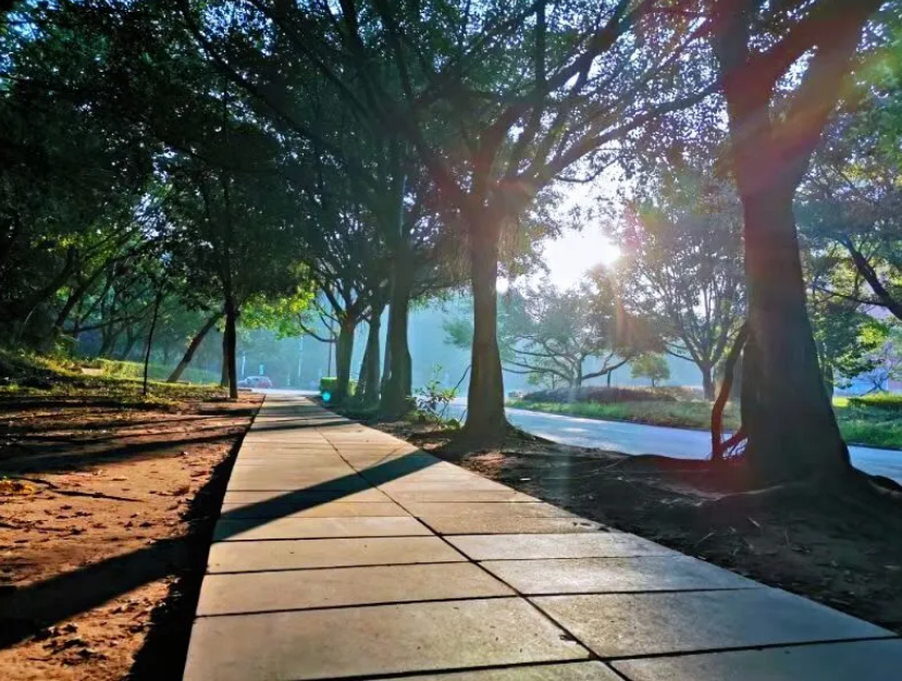 QQ截图20211118000212.png