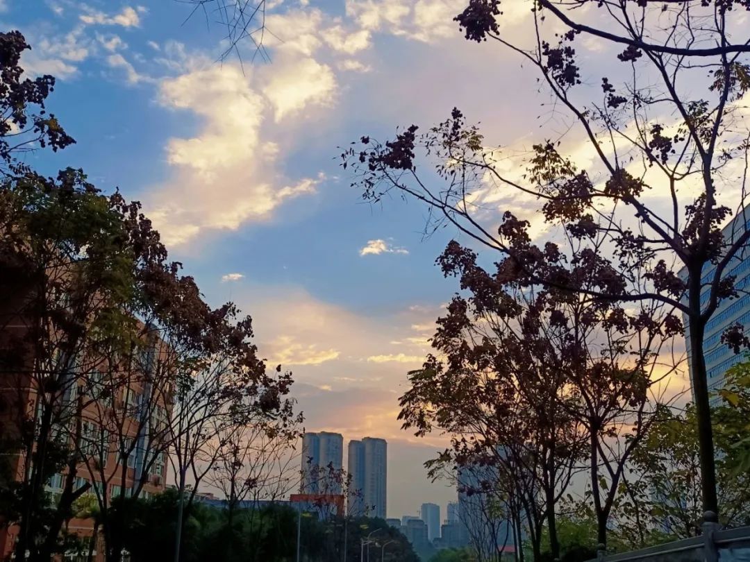 微信图片_20220325224342.jpg