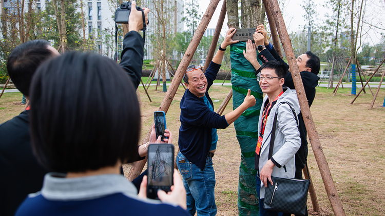 XCB_3646.jpg XCB_3646.jpg