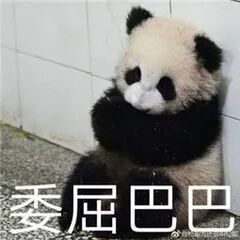 QQ图片20211129195528.jpg