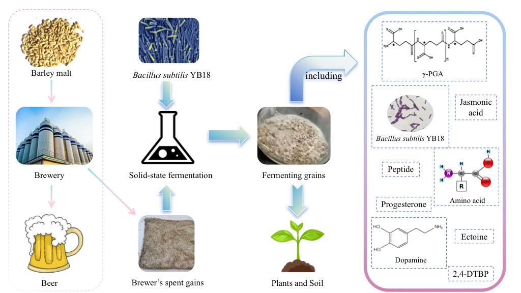 我校生物工程学院刘军教授团队在国际权威期刊《Bioresource Technology》上发表研究论文1.jpg