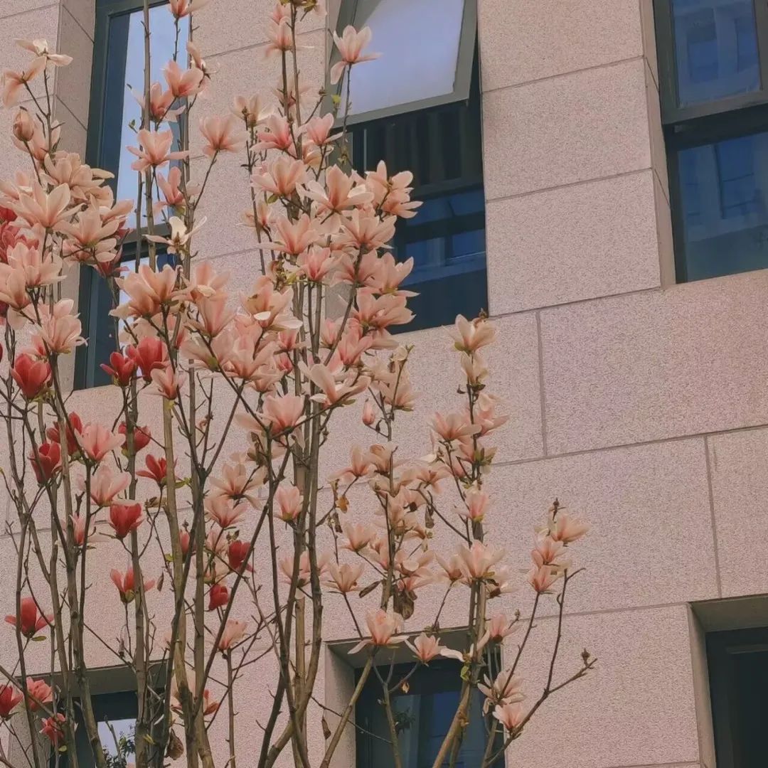 微信图片_20230328232302.jpg