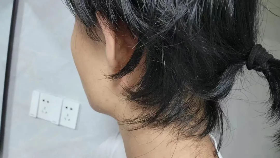 微信图片_20230503105426.jpg