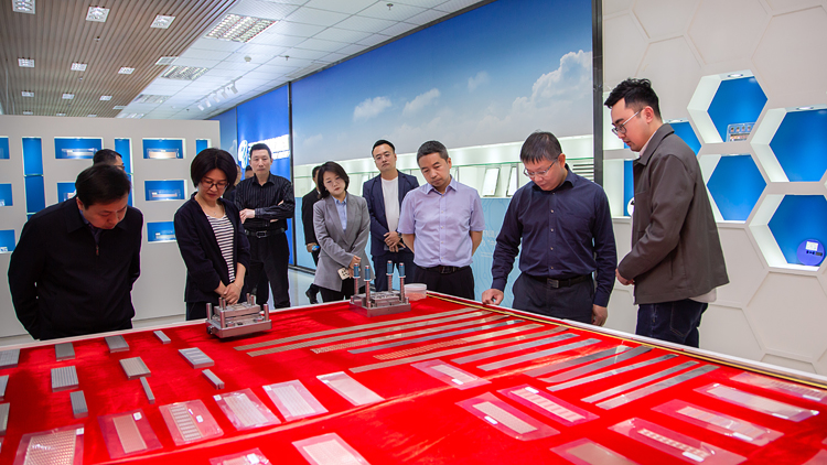 XCB_3310.jpg XCB_3310.jpg