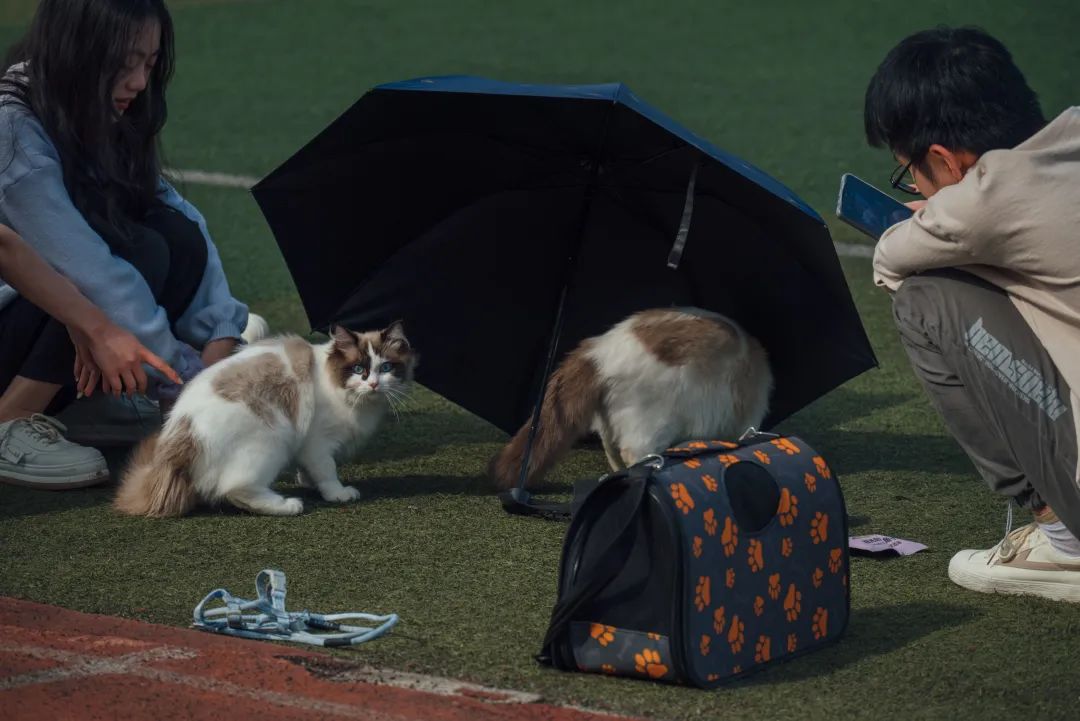 微信图片_20230328223654.jpg