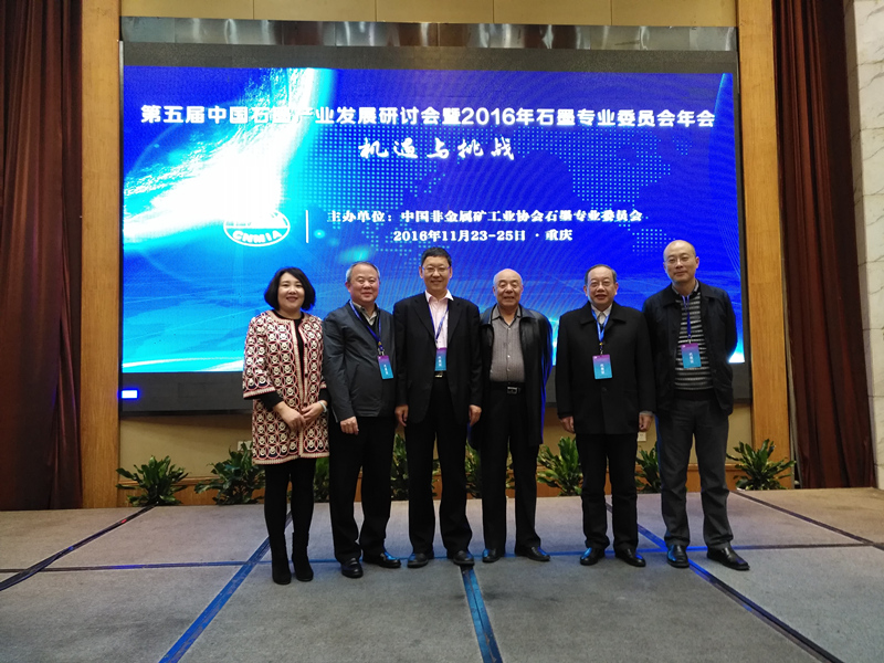 陈建教授参加第五届中国石墨产业发展研讨会.jpg