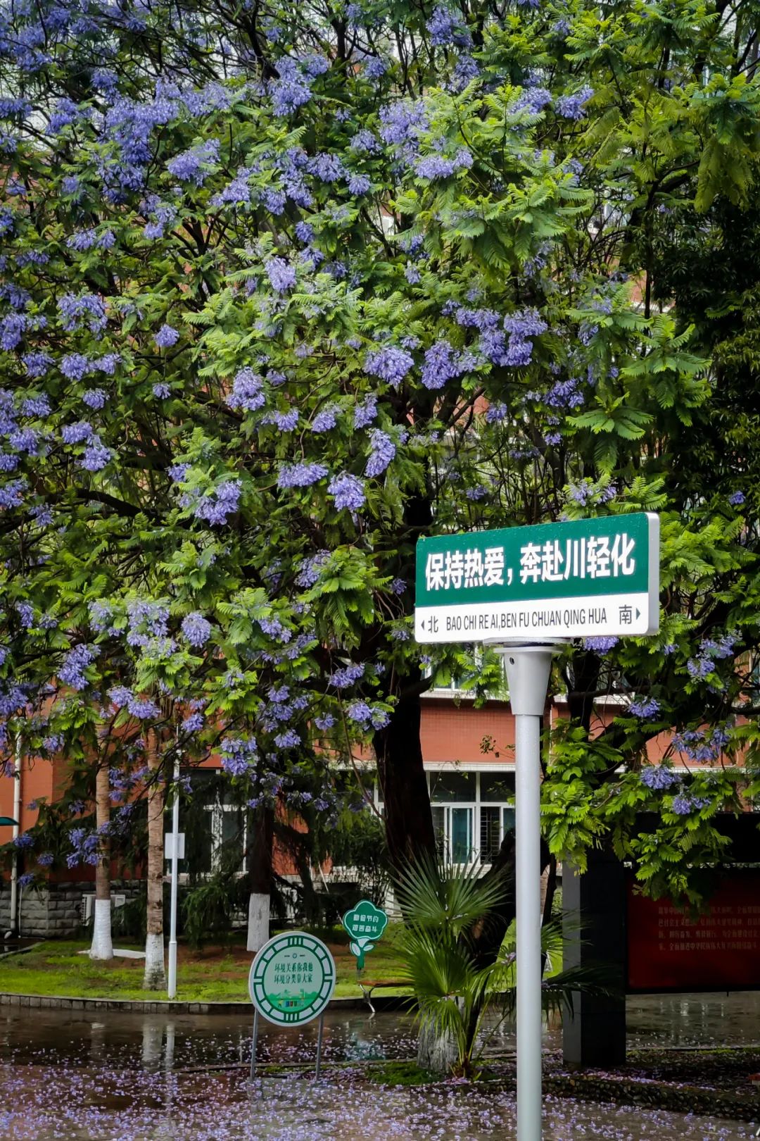 微信图片_20221113104528.jpg