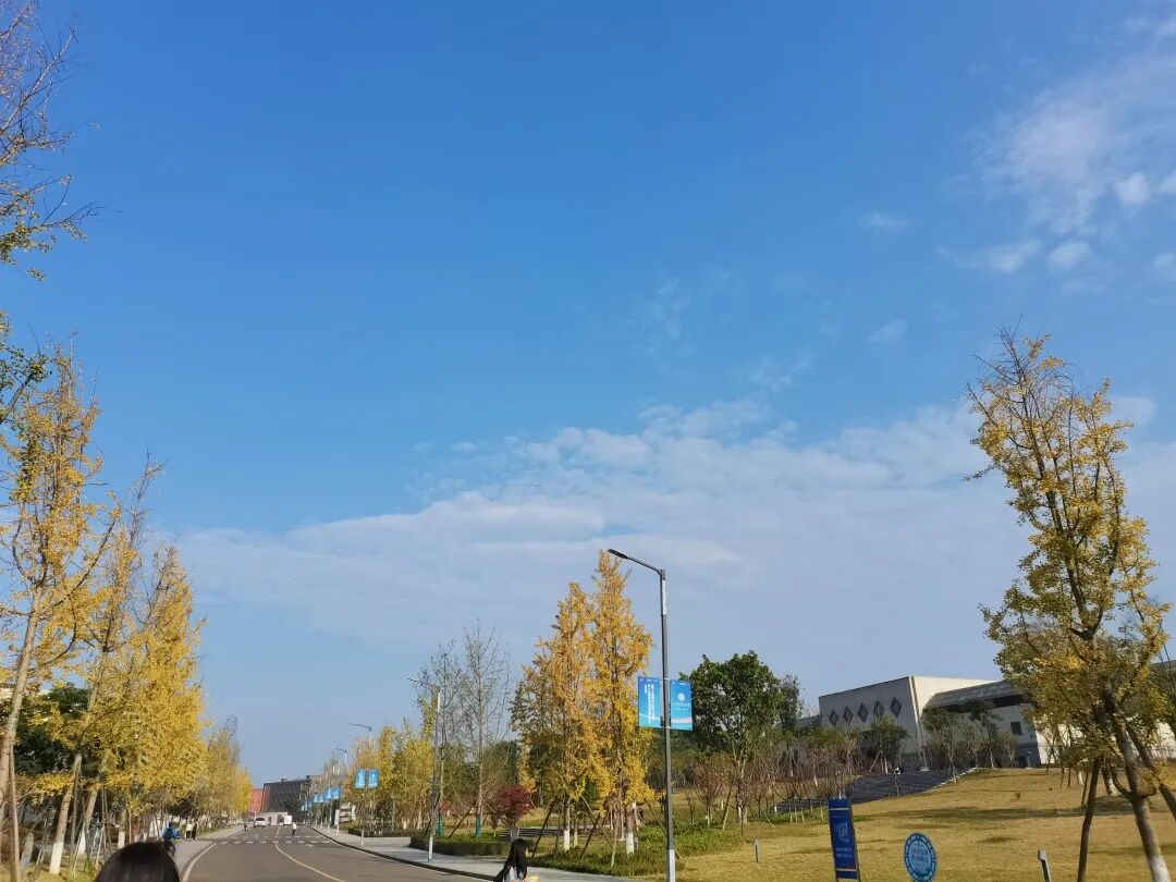 QQ图片20211219232238.jpg