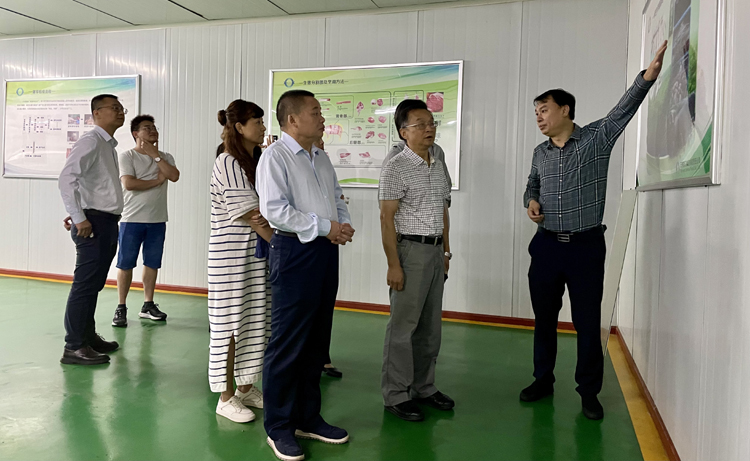 2411689093407_.pic_hd.jpg 2411689093407_.pic_hd.jpg