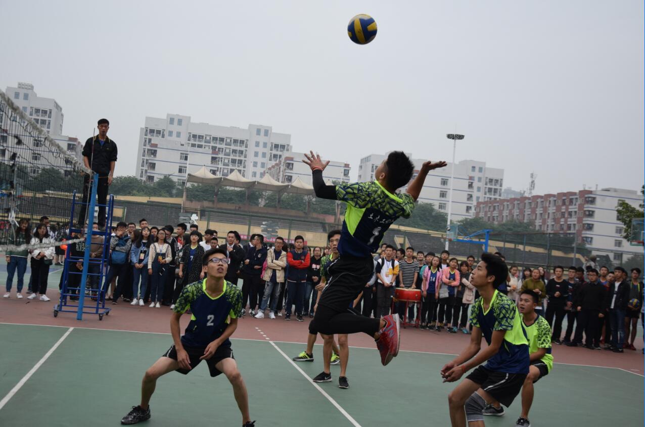 QQ截图20171029093726.jpg