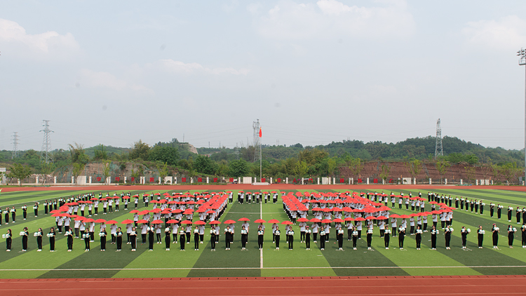 DSC_3781.jpg